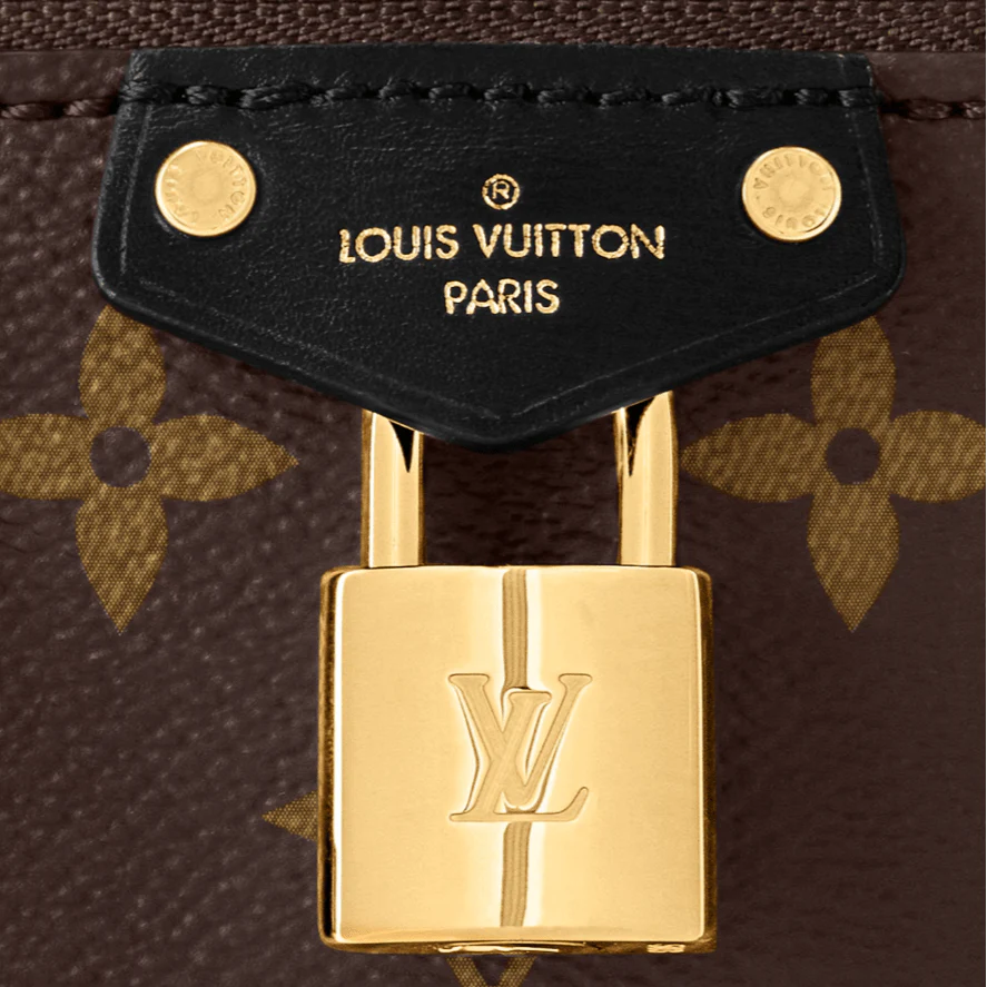 OUVALIA Luxury Edit | Louis Vuitton Vanity Chain Pouch